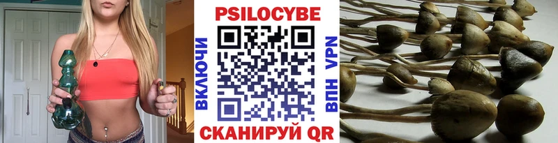 Псилоцибиновые грибы ЛСД  Купить где  Покровск 
