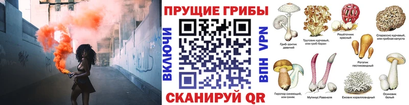 Псилоцибиновые грибы прущие грибы Покровск